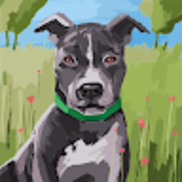 Meet your Posher, Eddie - Picture 1 of 1